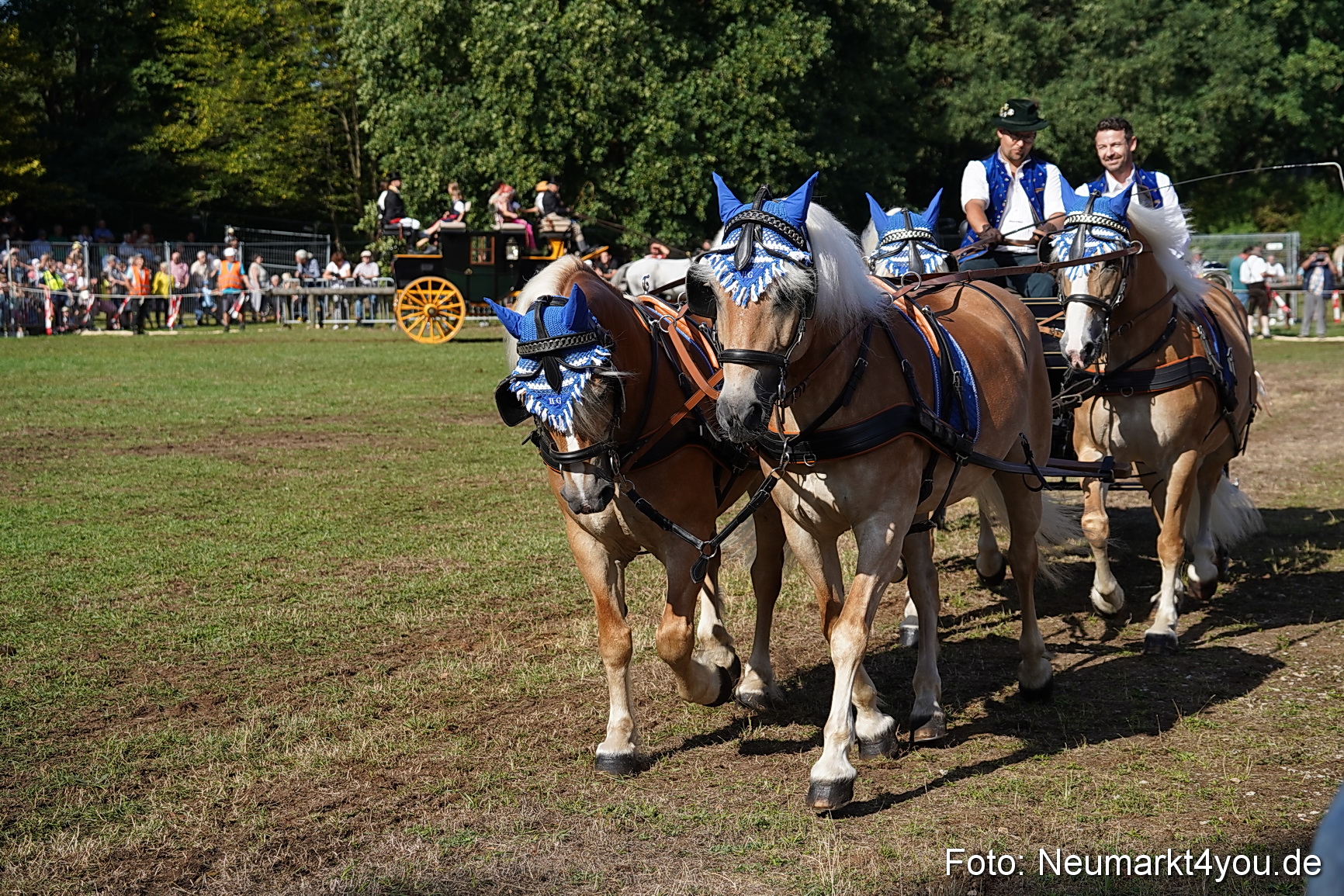 Pferde und Fohlenschau 2022 0118 